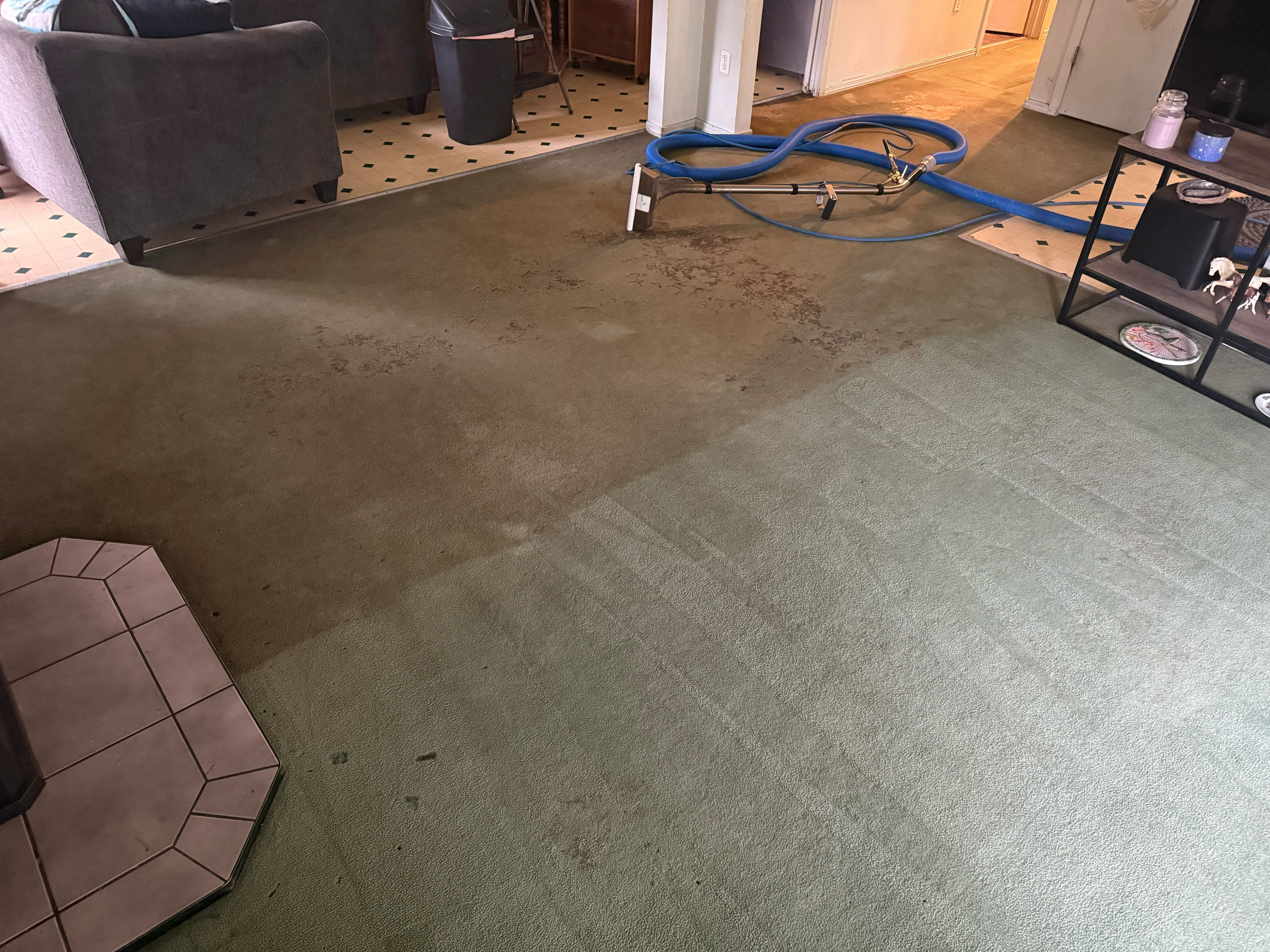 Living Room Deep Extraction — Mid Clean — Before