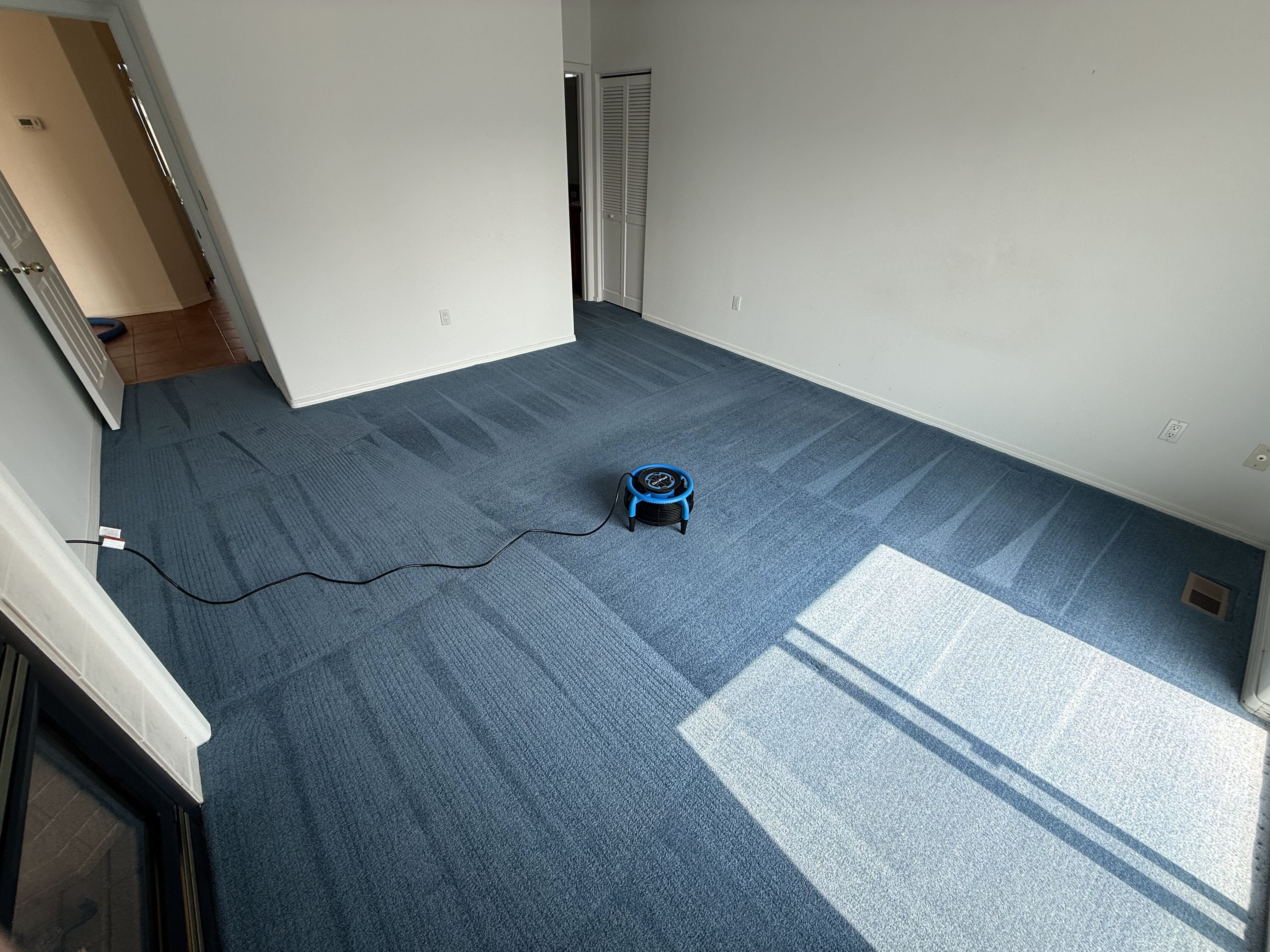 Home — Blue Room Carpet Cleaning — After