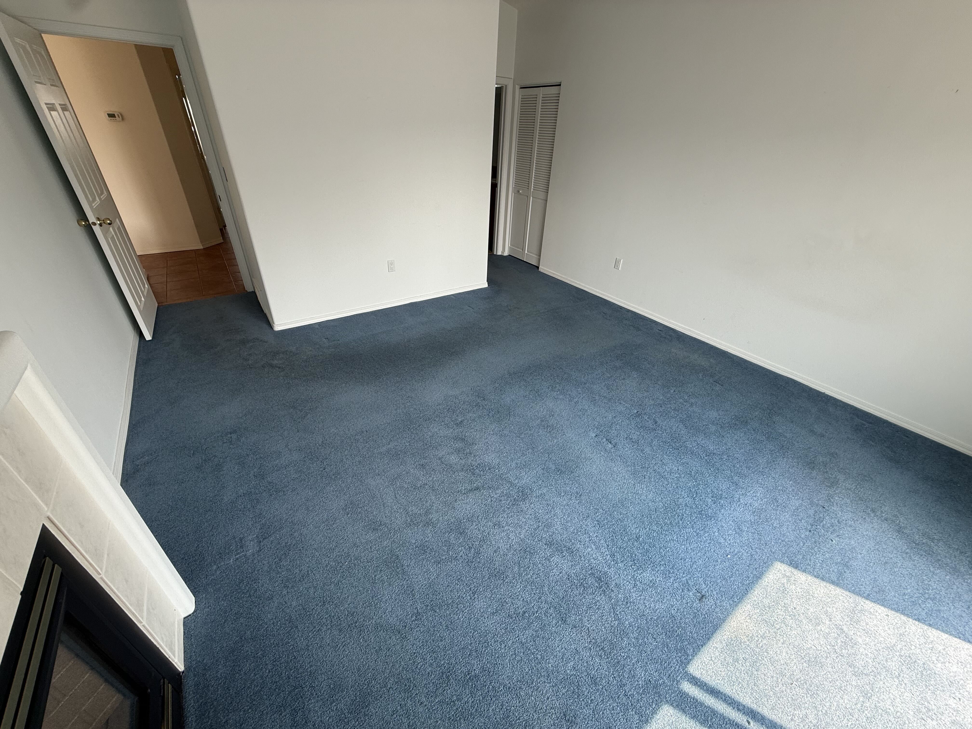 Home — Blue Room Carpet Cleaning — Before