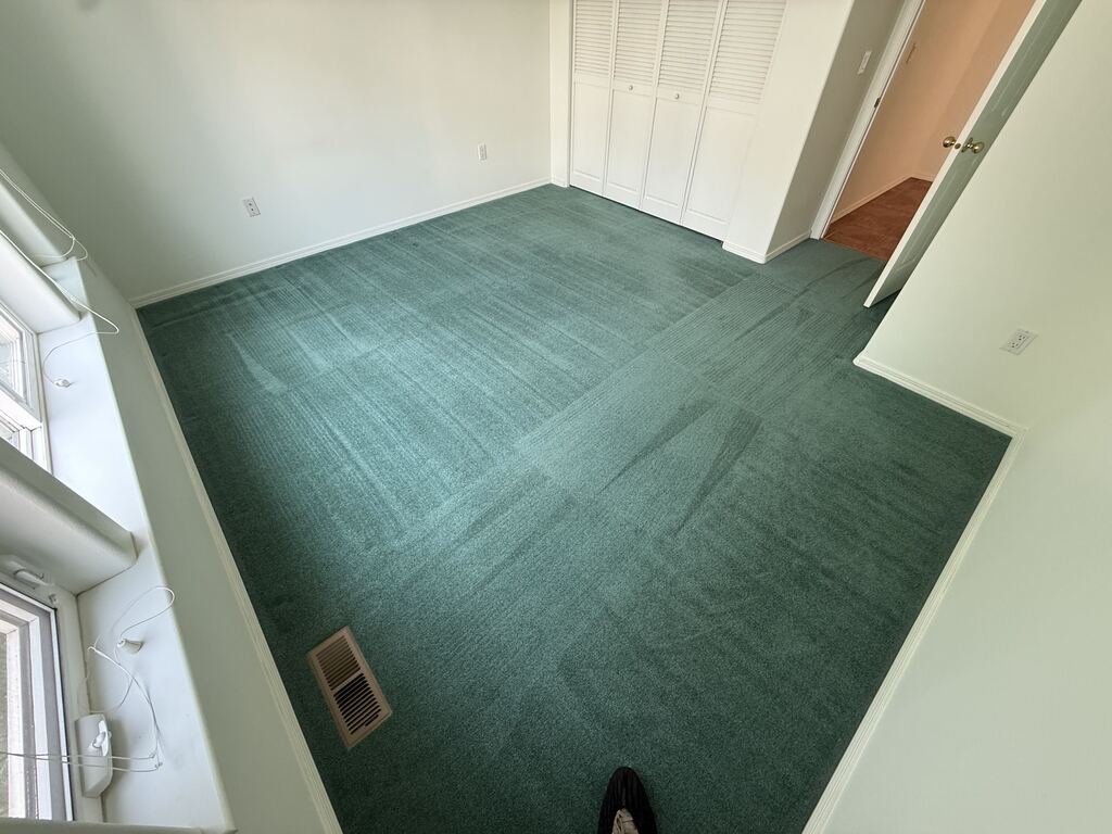 Home — Green Room Carpet Cleaning — After