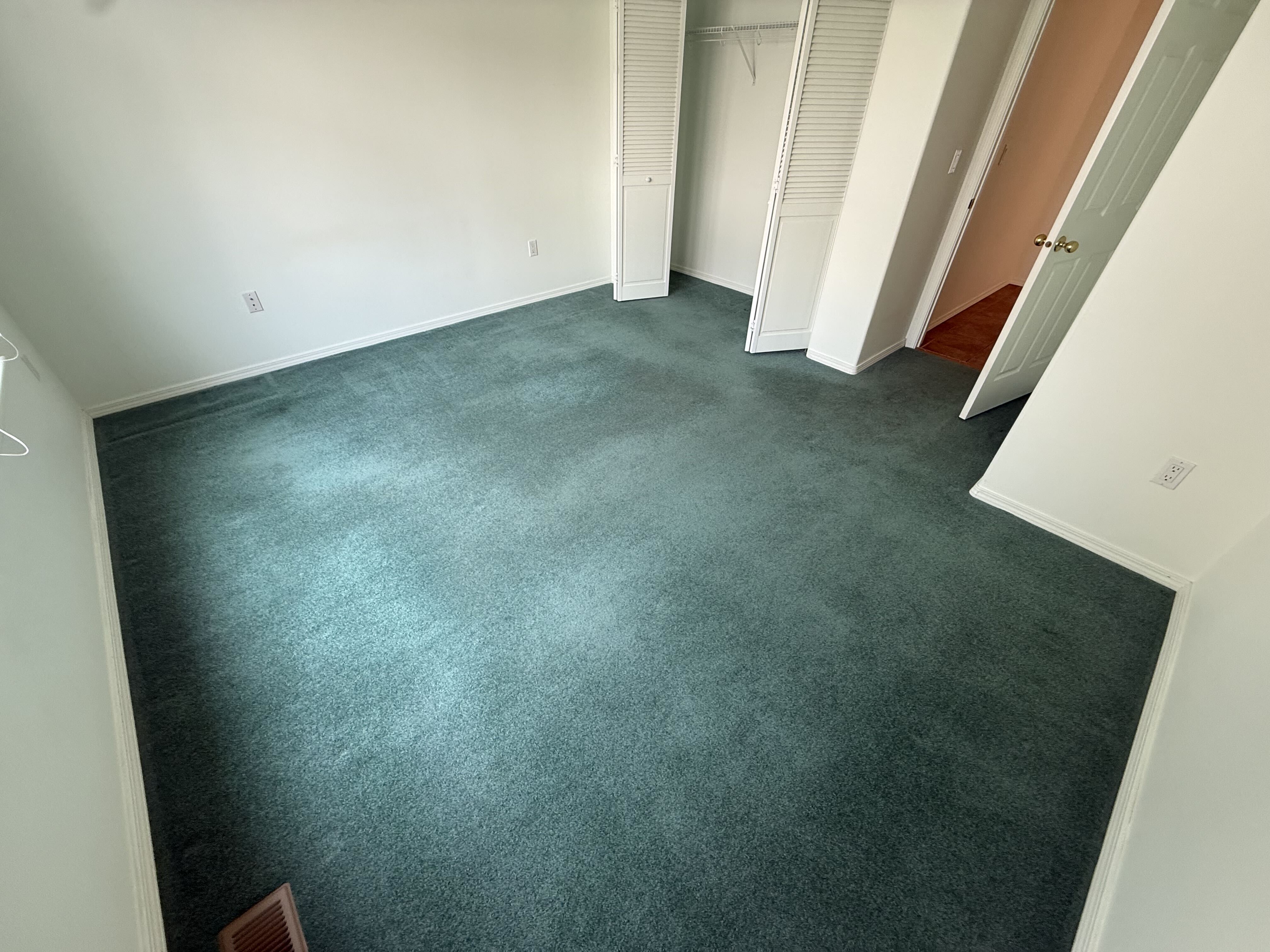 Home — Green Room Carpet Cleaning — Before