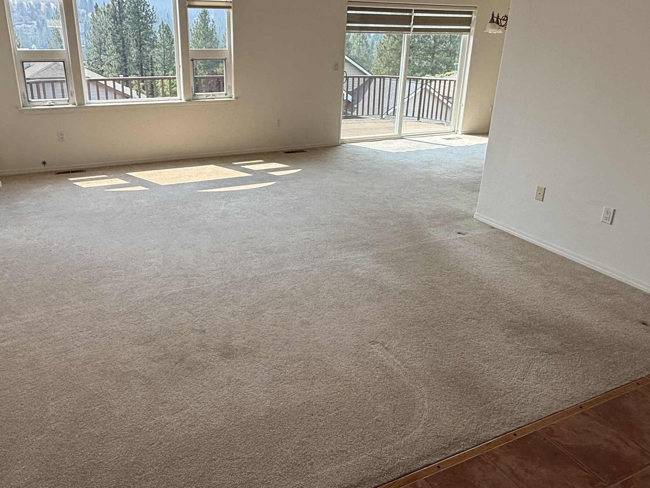 Home Living Room Carpet Cleaning — Before