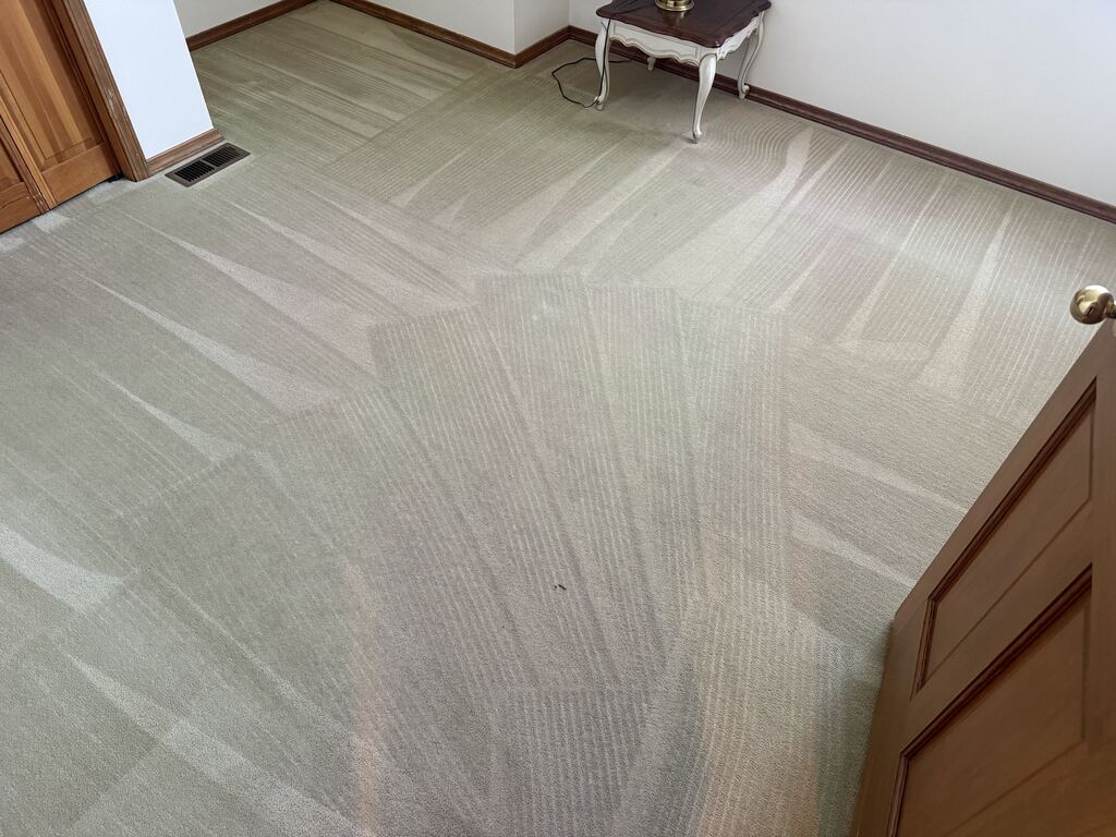 Residential Carpet Extraction Detail