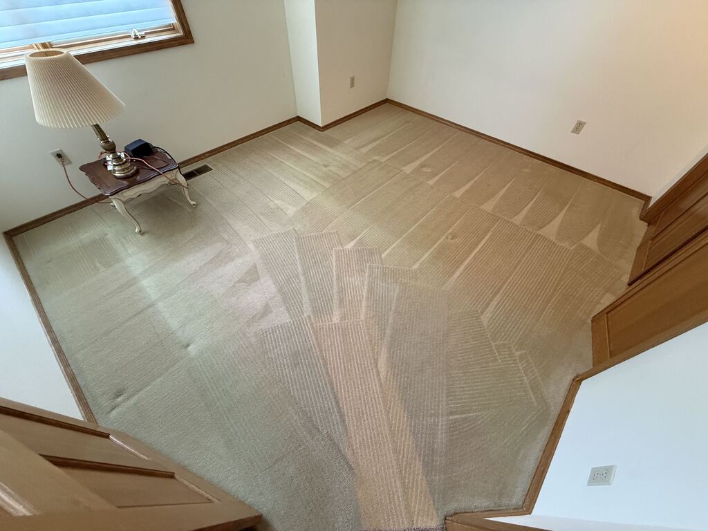 Residential Carpet Deep Clean Result